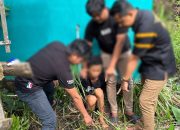 Sat Res Narkoba Polres Indramayu Bongkar Peredaran Sabu dan Ganja, Satu Pengedar Diringkus