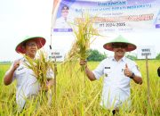 Panen Raya di Tengah Tantangan Iklim: Indramayu Buktikan Ketahanan Pangan dengan Panen Perdana Padi Tadah Hujan
