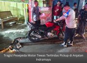 Tragis! Pesepeda Motor Tewas Terlindas Pickup di Anjatan Indramayu