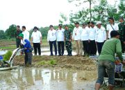 Indramayu Gaspol Tanam Padi di 11 Ribu Hektar! Wabup Syaefudin Bergerak Cepat Kejar Swasembada Pangan