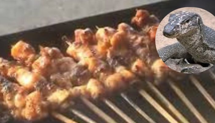 Sensasi Kuliner Ekstrem: Sate Biawak Anjatan Diburu karena Kelezatan dan Khasiatnya
