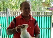 Sate Kelinci Legendaris Mbah Jaja di Indramayu Tunda Pembukaan Usai Lebaran