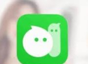 Aplikasi Esek-Esek Berkedok Rapi Merajalela di Indramayu Bagian Barat