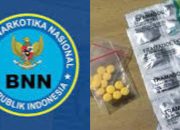 Peredaran Obat Ilegal di Indramayu Bagian Barat Merajalela, Masa Depan Generasi Terancam, BNN Segera Turun Tangan