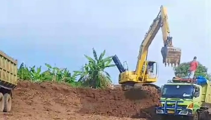 Terkuak! Tambang Sirtu Diduga Ilegal ‘Gerogoti’ Lahan Perhutani Indramayu, Warga Geram