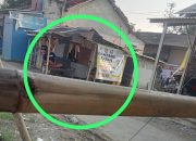 LSM Harimau Indramayu Geram, Peredaran Obat Tramadol Kembali Beroperasi di Anjatan