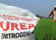 Permen Nomor 15 Tahun 2025: Pupuk Subsidi Langsung ke Petani, Distribusi Lebih Cepat dan Tepat Sasaran