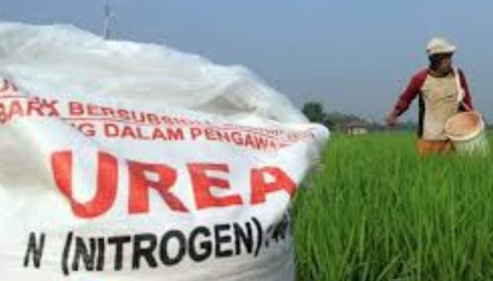 Permen Nomor 15 Tahun 2025: Pupuk Subsidi Langsung ke Petani, Distribusi Lebih Cepat dan Tepat Sasaran