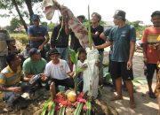 Heboh !!! Warga Desa Ujunggebang Dan Warga Desa Luwung Kencana Blokade Jalan Dengan Bentuk Kuburan