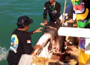 Tradisi Berpadu Kemeriahan: Desa Sukahaji dan Bugel Rayakan Pesta Laut Nadran 2025