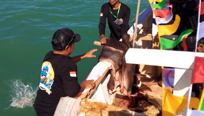 Tradisi Berpadu Kemeriahan: Desa Sukahaji dan Bugel Rayakan Pesta Laut Nadran 2025