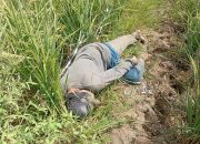 Pria 60 Tahun di Indramayu Ditemukan Meninggal di Sawah, Diduga Serangan Jantung