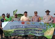 Kapolsek Sliyeg Bersama Petani Tanam Jagung di Lahan Non-Sawah