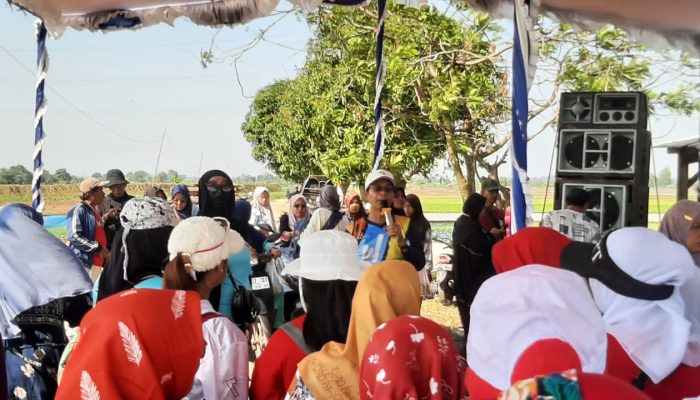 Mengawal Eksotisme Desa Wisata Kali Jero Patrol dengan Jajanan Jadul, Senam dan Jalan Sehat