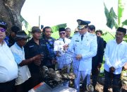 Lagi, Bupati Lucky Hakim Lepas Ular, Biawak dan Burhan