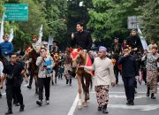 Indramayu Ramaikan Kirab Budaya HUT Jabar, Bupati Lucky Hakim Curi Perhatian Naik Kuda