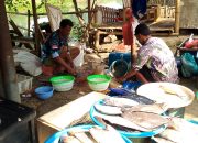 Jual Ikan Segar, Buka 24 Jam di Jatibarang, “Yu Sari” Siap Layani Penggemar Mayoran  ‎